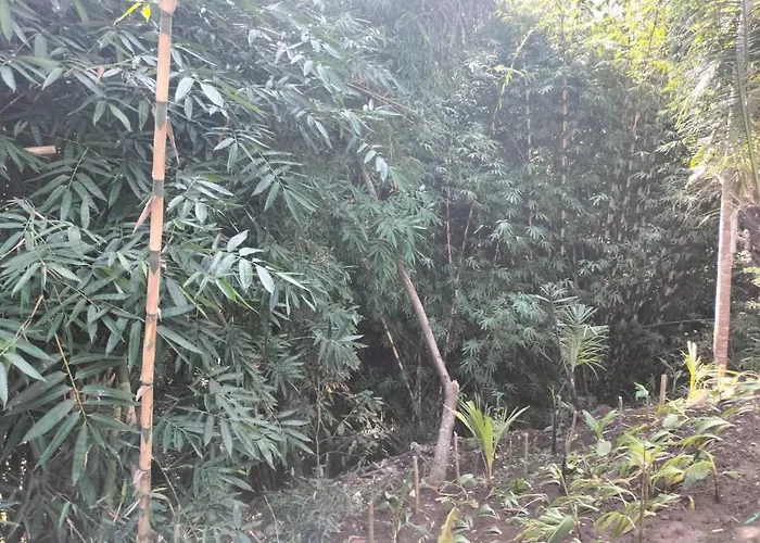 Baruna Sari
