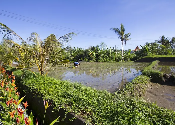 Villa Baruna Sari